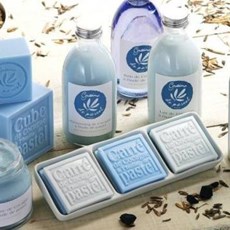 SPA Graine de Pastel - La Pomarède SPA Graine de Pastel - La Pomarède