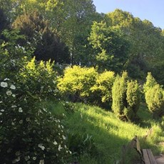 Le Jardin Naturel Pierre Emmanuel, un jardin secret dans le 20ème arrondissement de Paris Le Jardin Naturel Pierre Emmanuel, un jardin secret dans le 20ème arrondissement de Paris