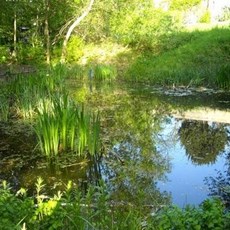 Le Jardin Naturel Pierre Emmanuel, un jardin secret dans le 20ème arrondissement de Paris Le Jardin Naturel Pierre Emmanuel, un jardin secret dans le 20ème arrondissement de Paris