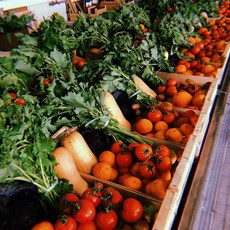 Fruta Fei Fruta Fei